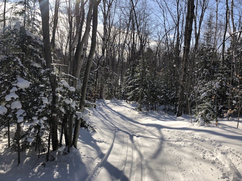 Cross Country Ski Report Saturday, February 10th Cross Country Ski