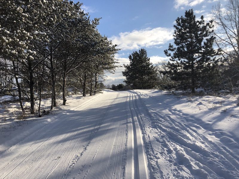 Cross Country Ski Headquarters Trails