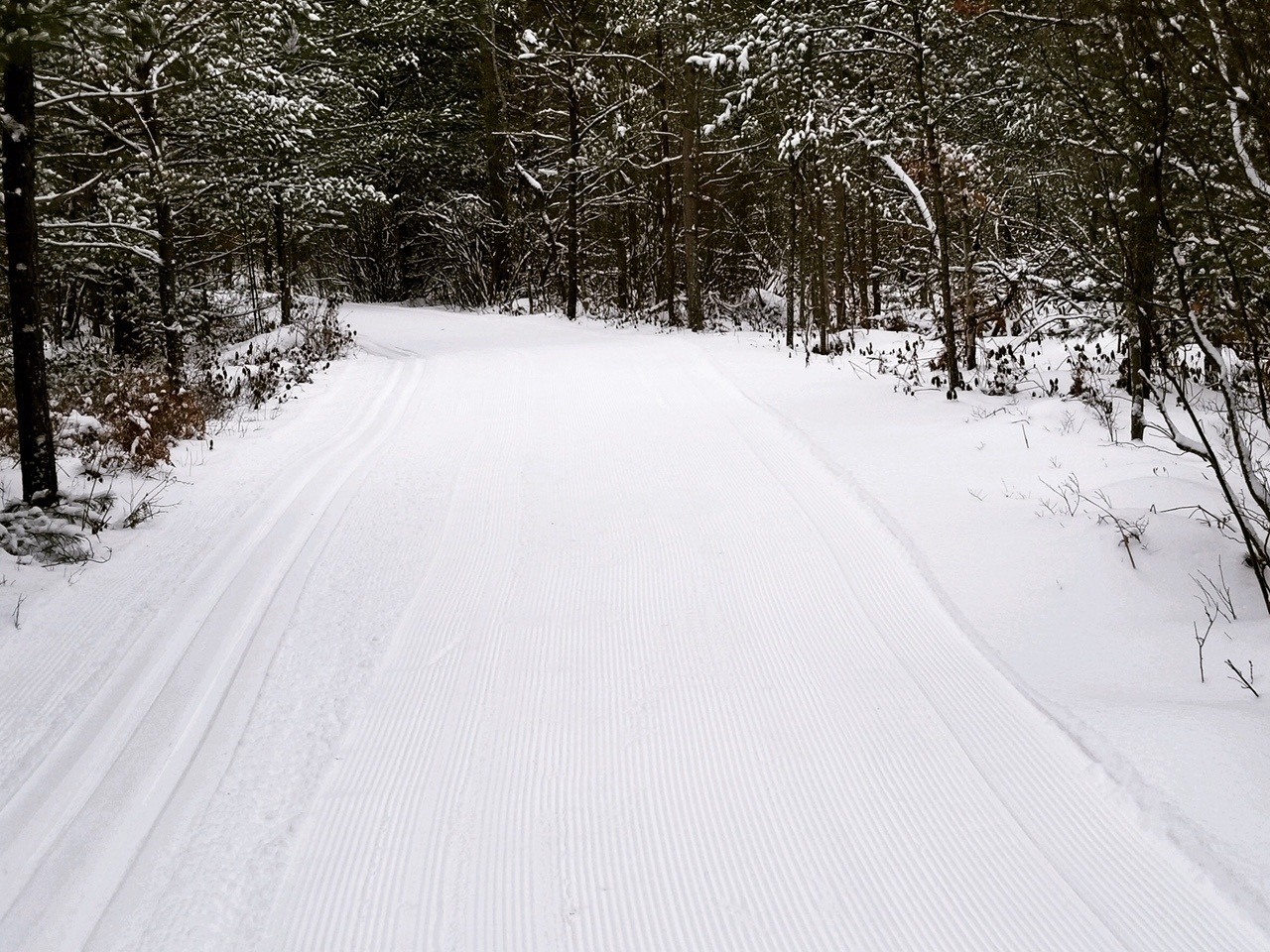 xc skiing near me