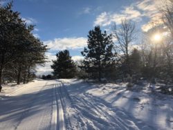 Cross Country Ski Headquarters Manitou Trail