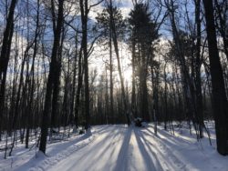 Cross Country Ski Headquarters groomed trails