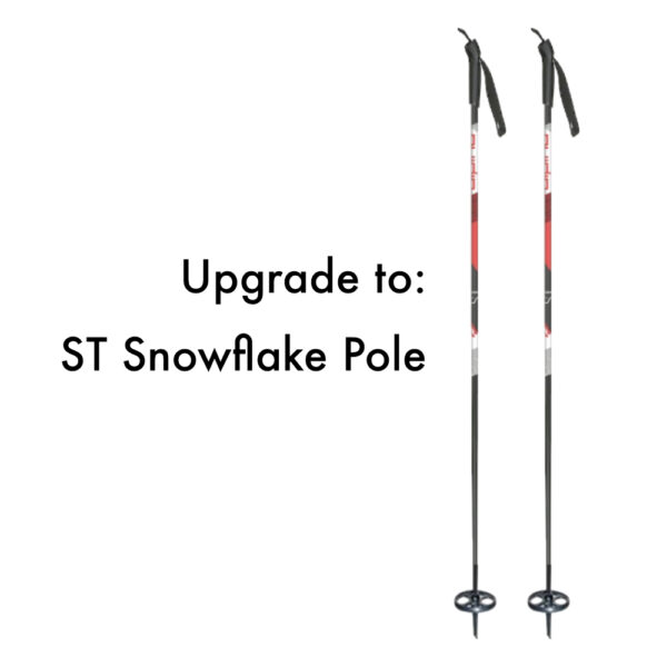 Alpina ST Snowflake Pole Upgrade