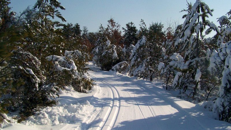 michigan cross country ski trails