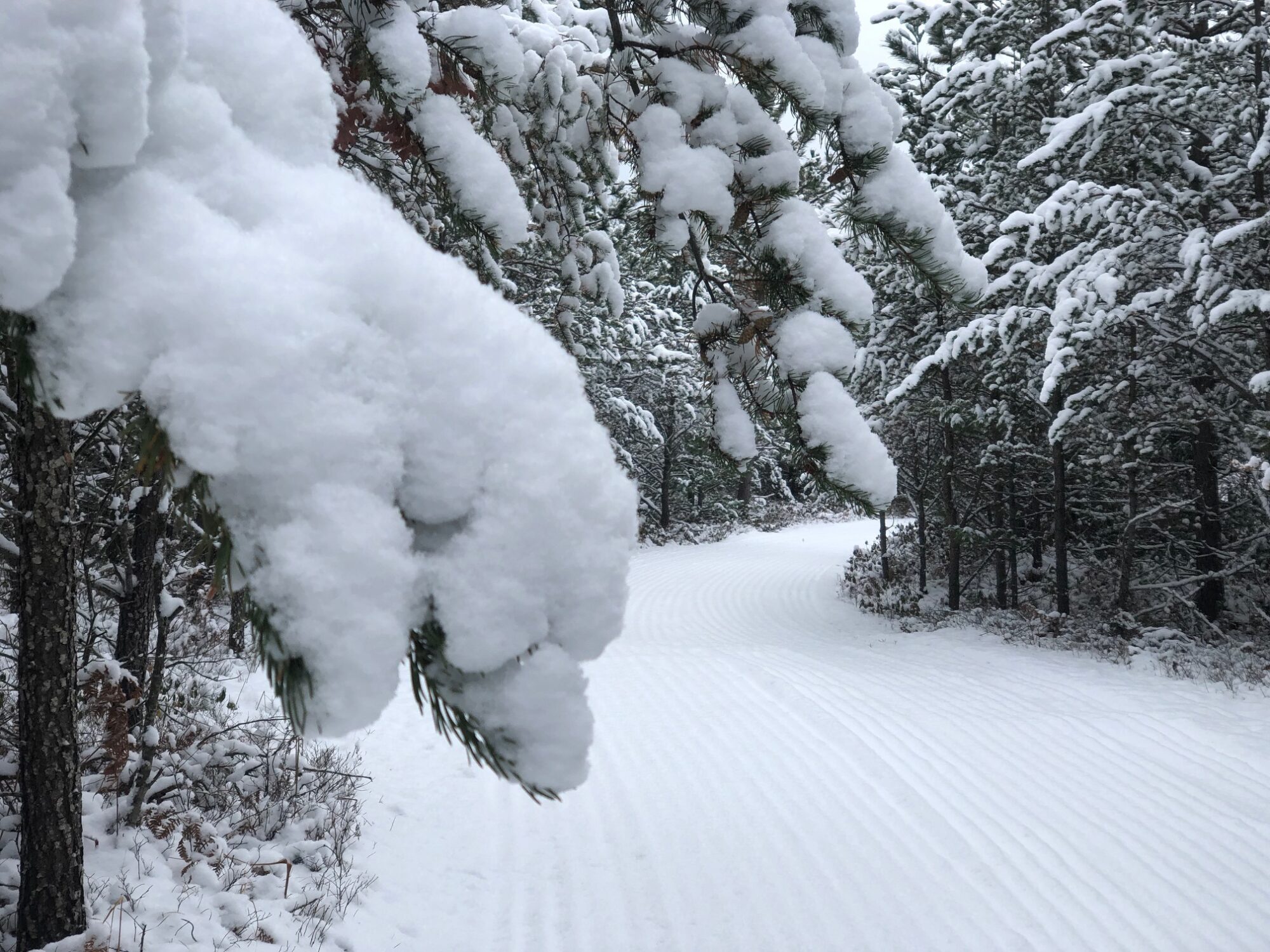 It's winter wonderland on the ski trails!