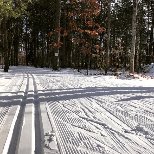 Groomer XC Ski Trail Michigan XC Ski HQ