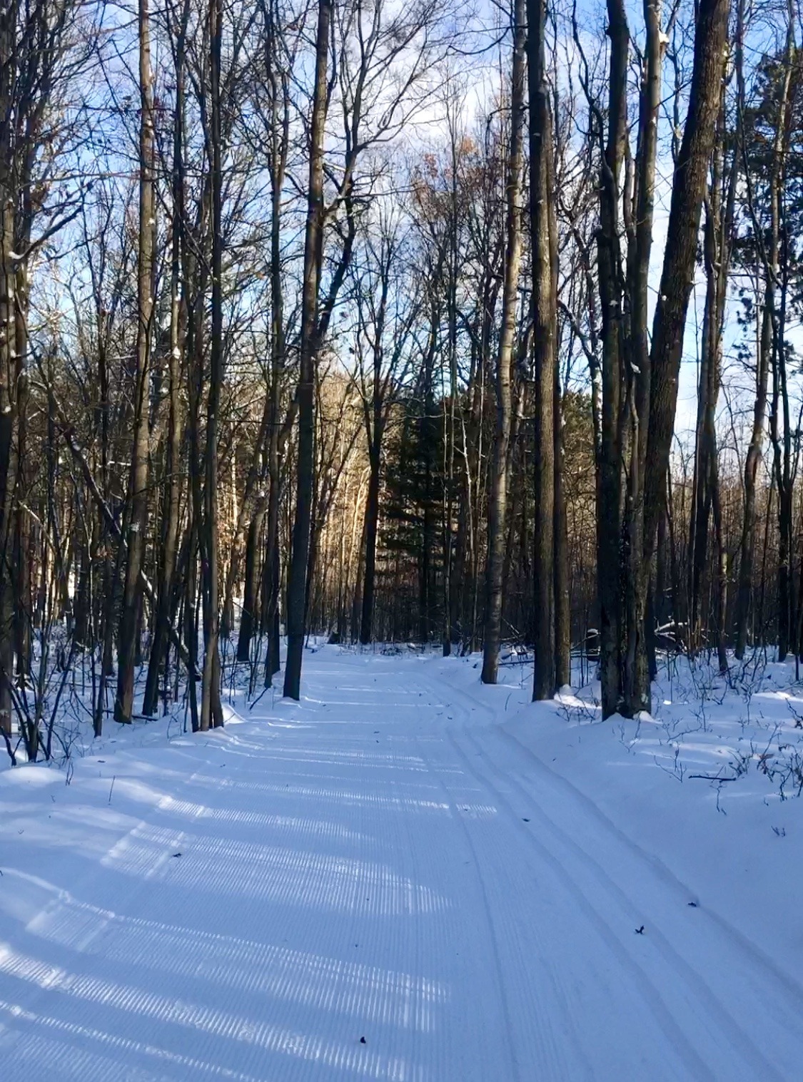 groomed xc ski trails near me