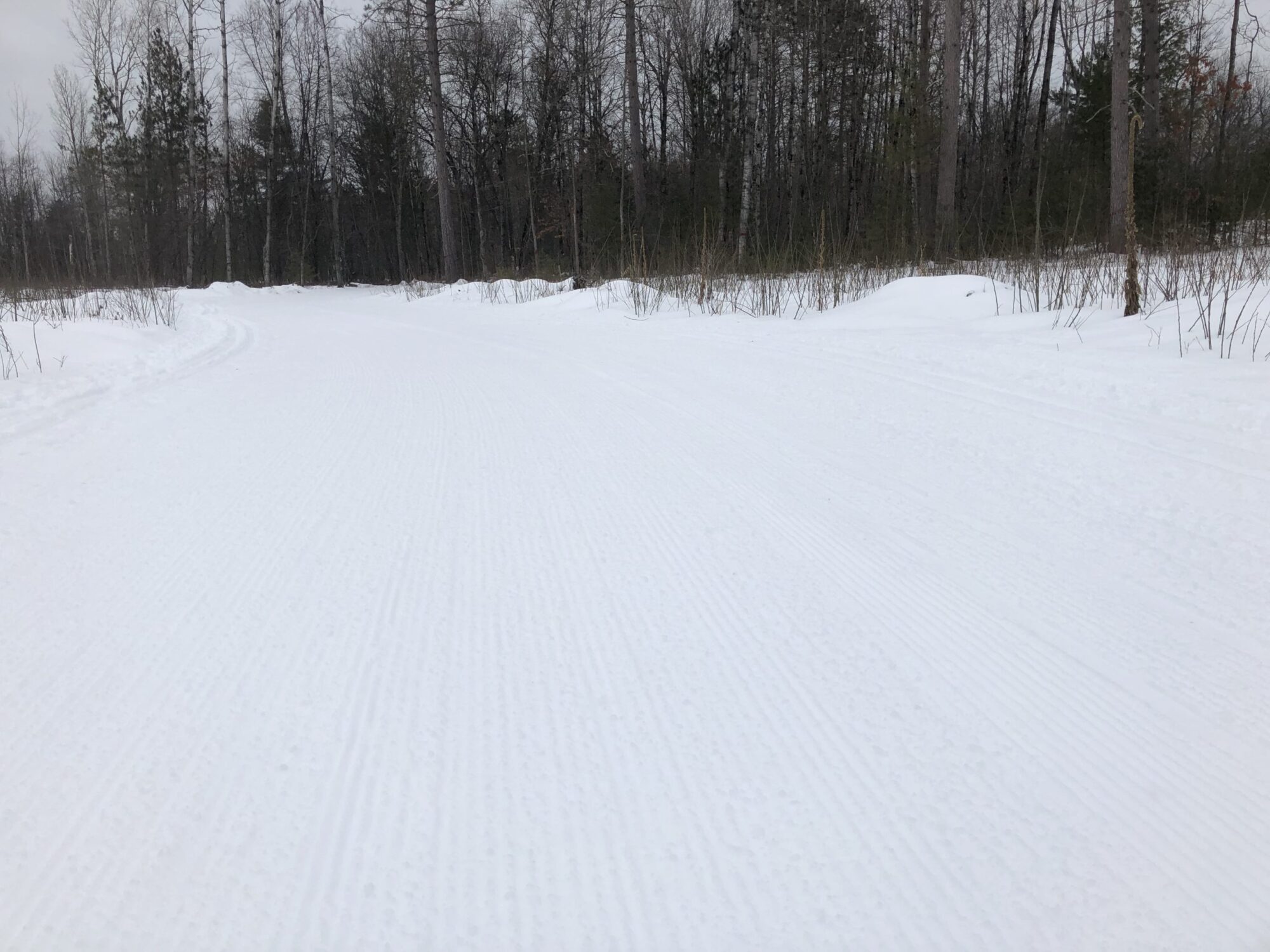 Cross Country Ski Report Saturday, Feb 1st Cross Country Ski