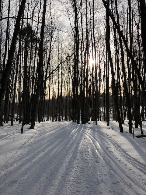 Fantastic skate skiing XC Ski hQ