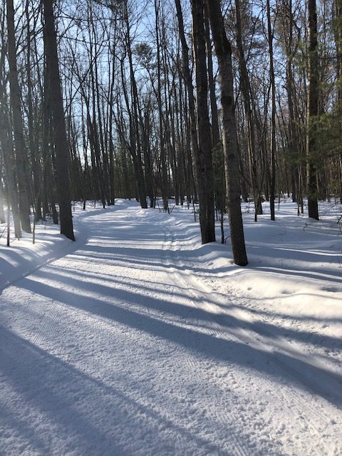 Spring Skiing XC Ski HQ