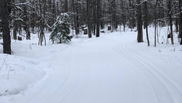 XC Ski HQ Great Conditions