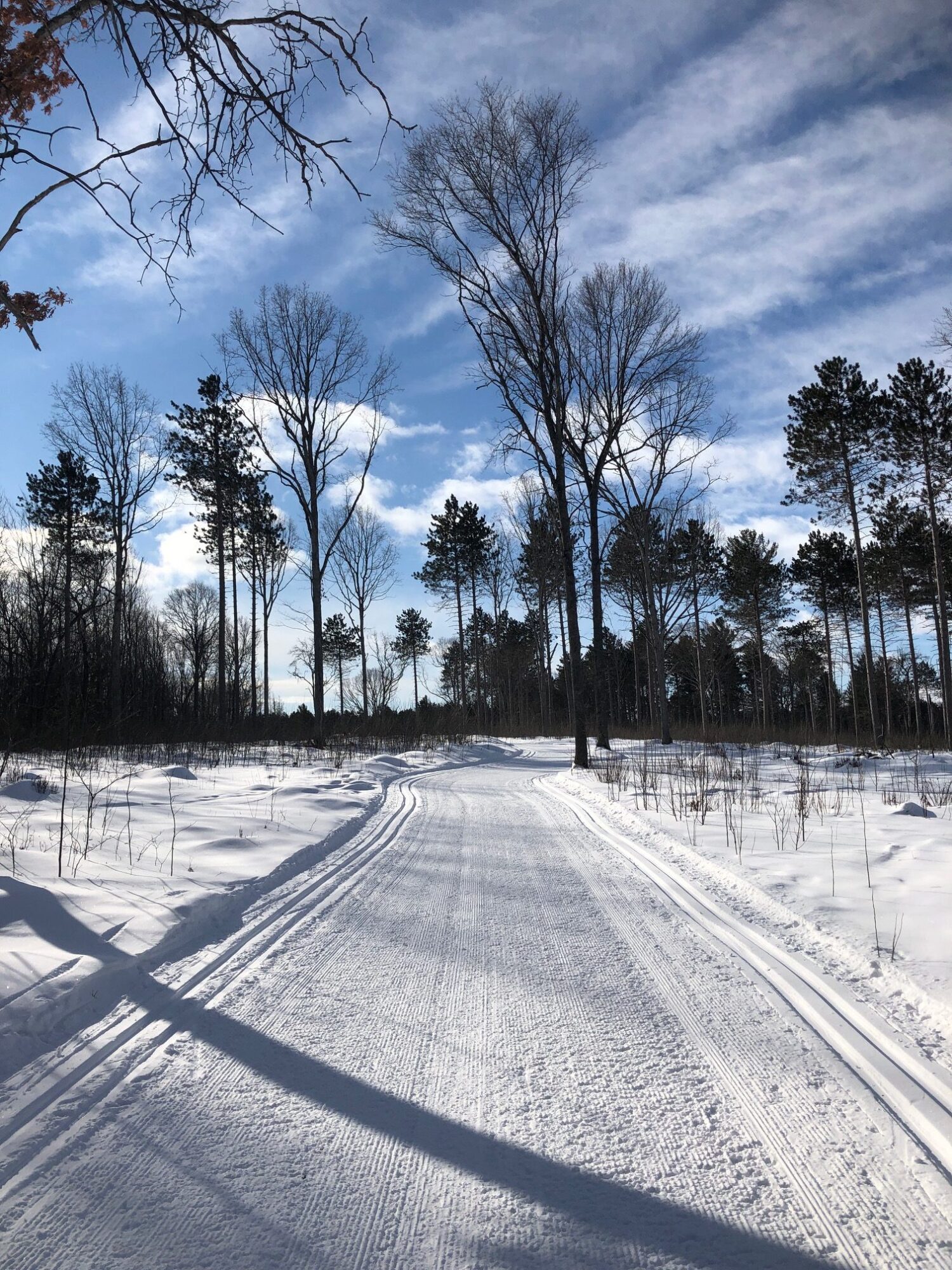 Cross Country Ski Report Wednesday, Feb 10th Cross Country Ski