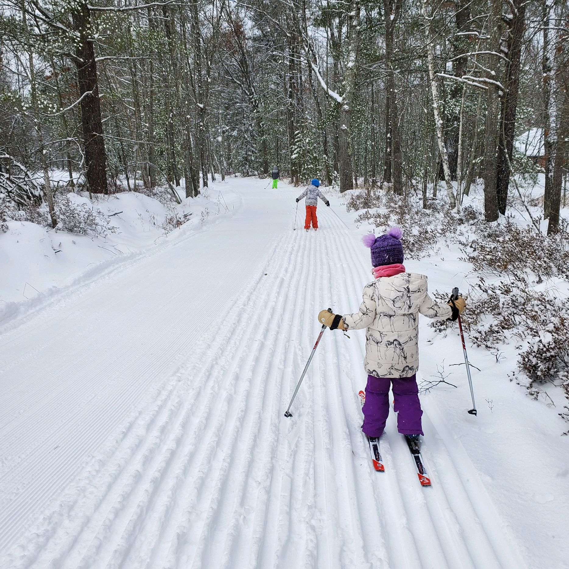 Cross Country Ski Report Tuesday, Dec 7th Cross Country Ski Headquarters