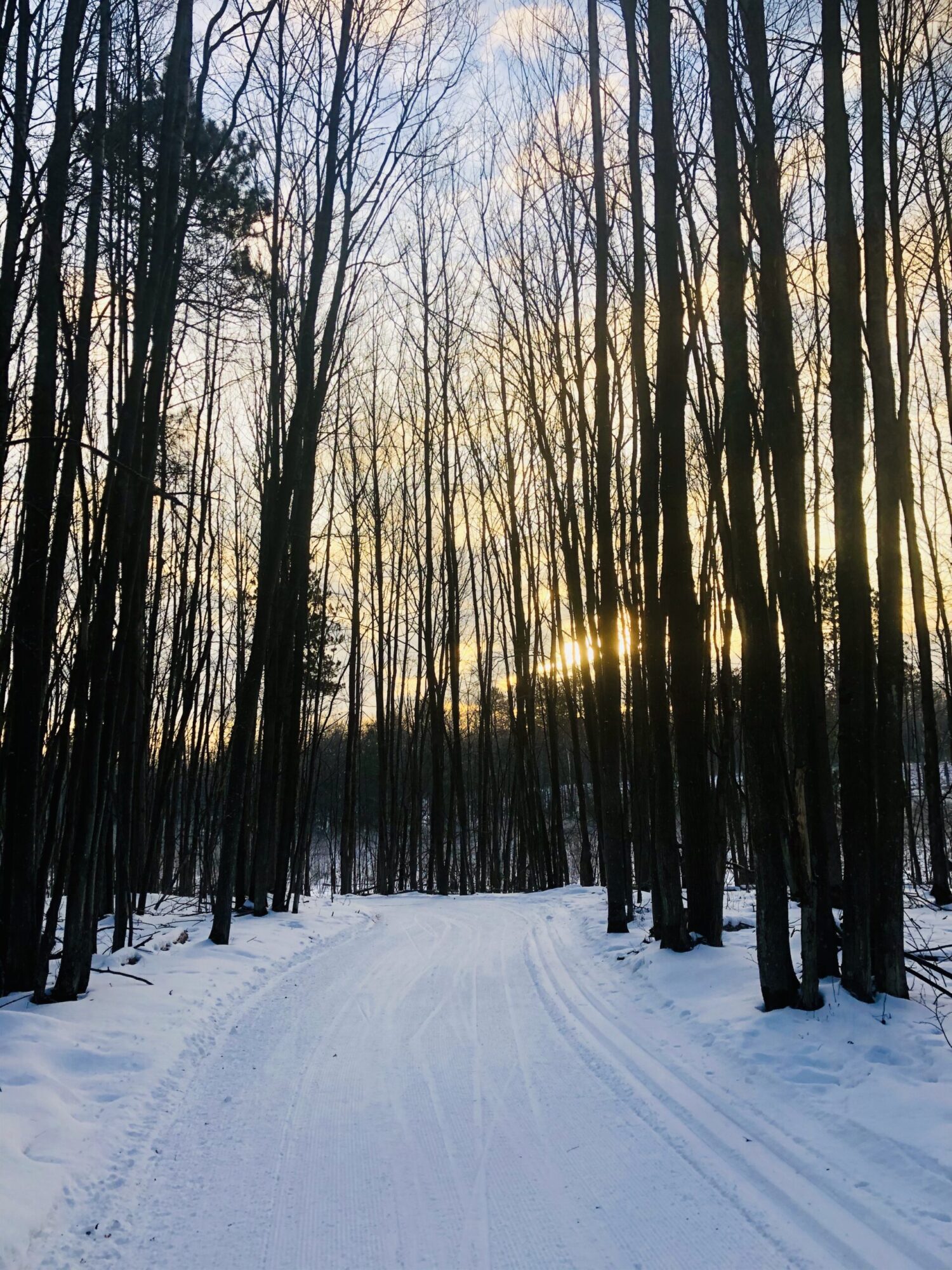 Cross Country Ski Report Saturday, Feb 5th Cross Country Ski