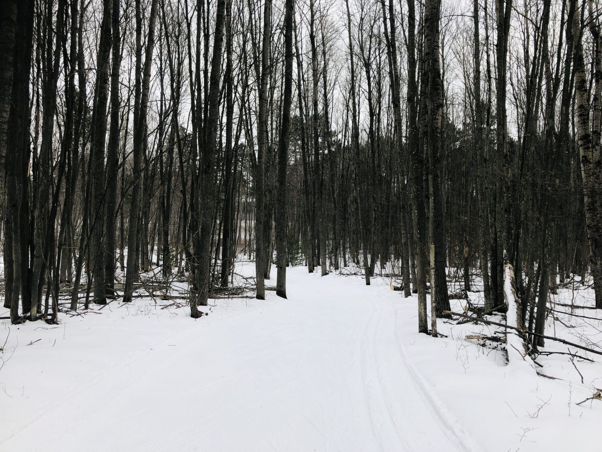 Great Conditions Groomed XC Ski Trails Cross Country Ski Headquarters