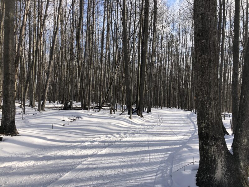 Great March Conditions XC Ski HQ