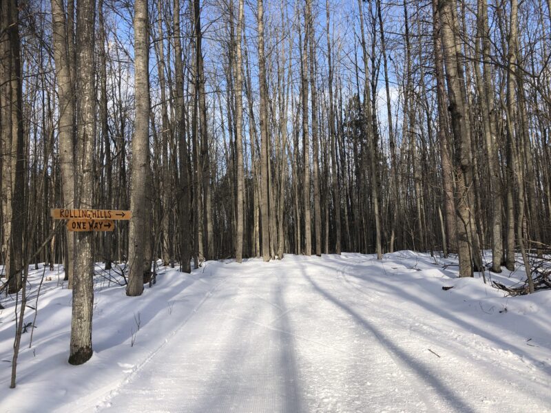 Spring Skiing Cross Country Ski Headquarters