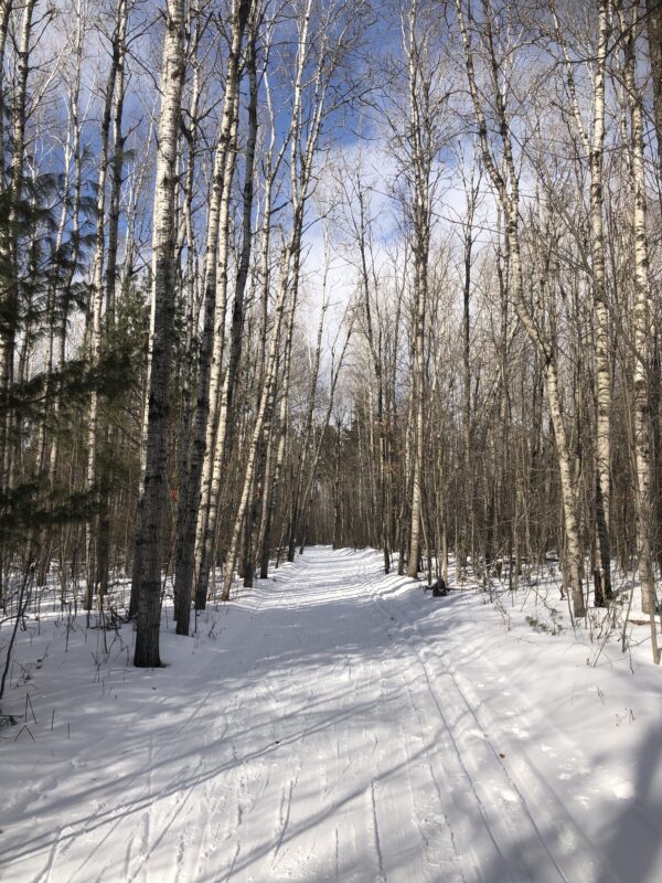 Blue bird day XC Ski HQ