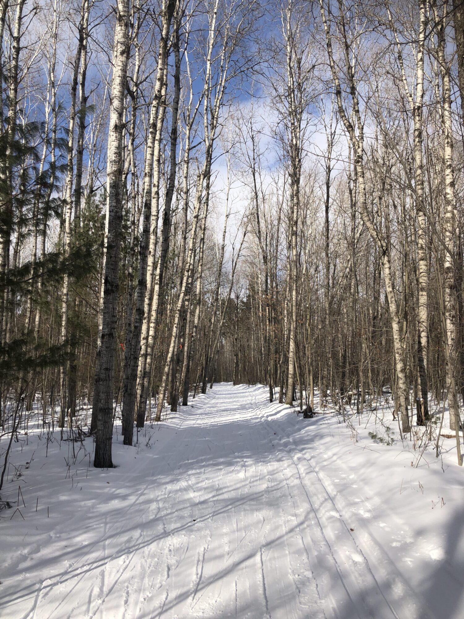 Cross Country Ski Report Sunday, March 13th Cross Country Ski
