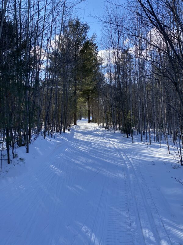 Spring Conditions XC Ski HQ