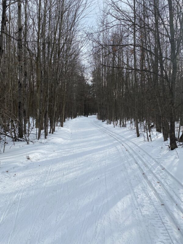 Another day of great spring skate skiing XC Ski HQ