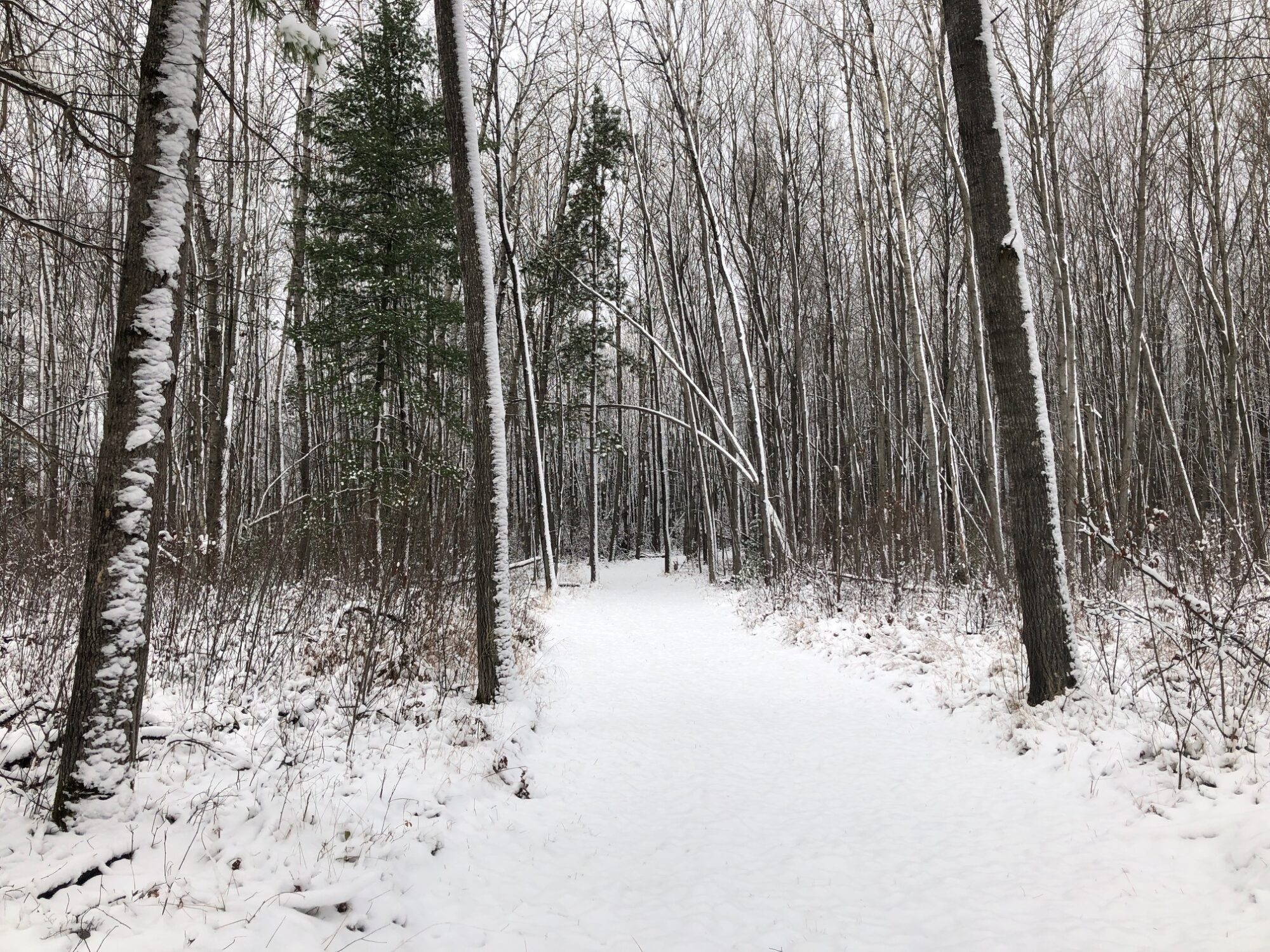 Early Season Snow XC Ski HQ