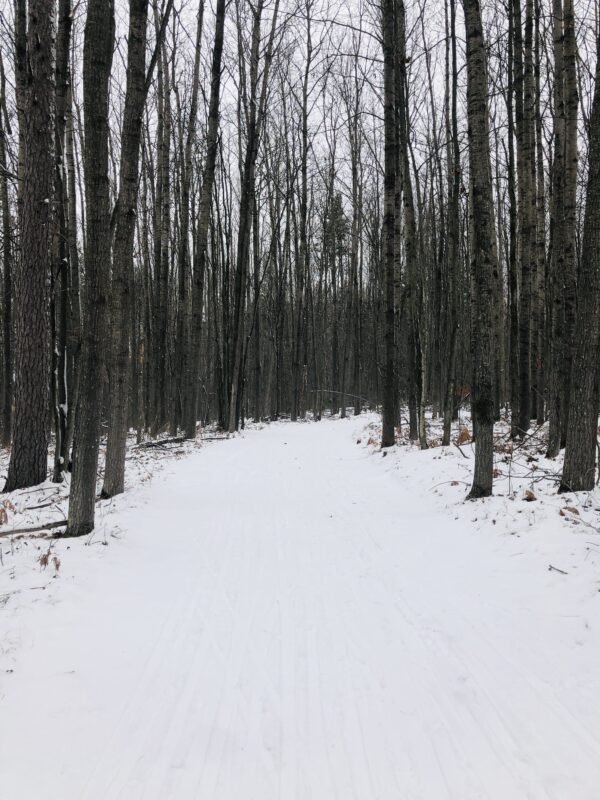 XC Ski HQ Higgins Lake