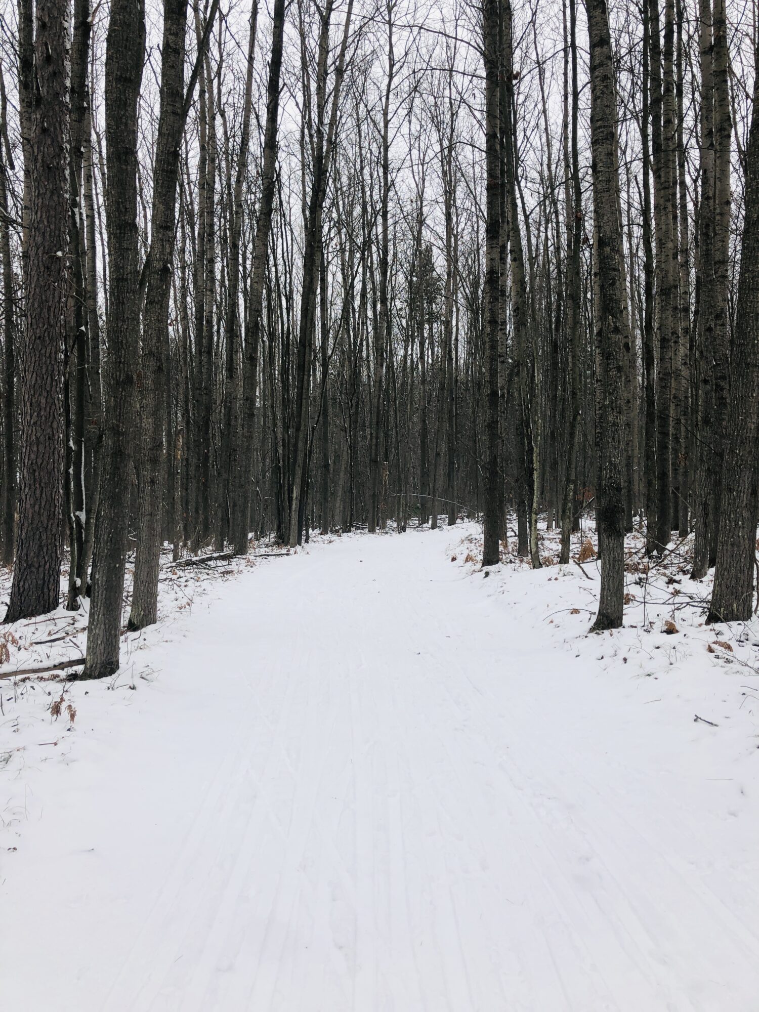 XC Ski HQ Higgins Lake