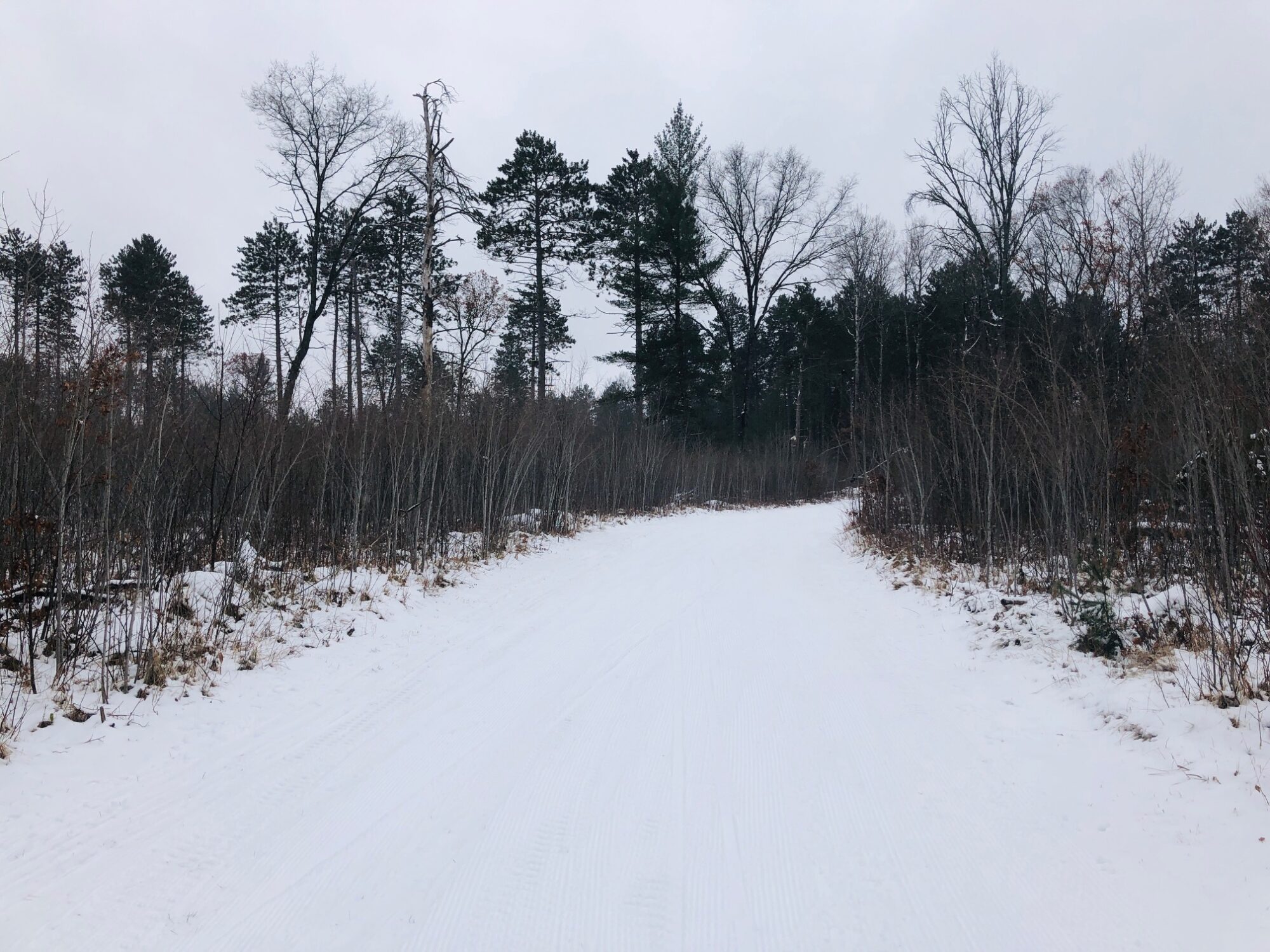 XC Ski HQ trails, Sunday