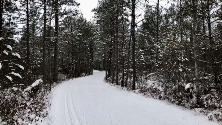 Midwinter Conditions Mid-Winter Conditions XC Ski HQ