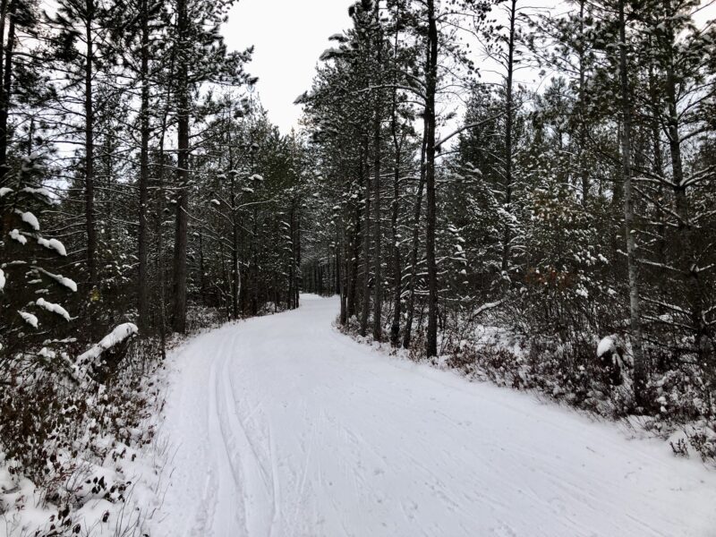 Midwinter Conditions Mid-Winter Conditions XC Ski HQ