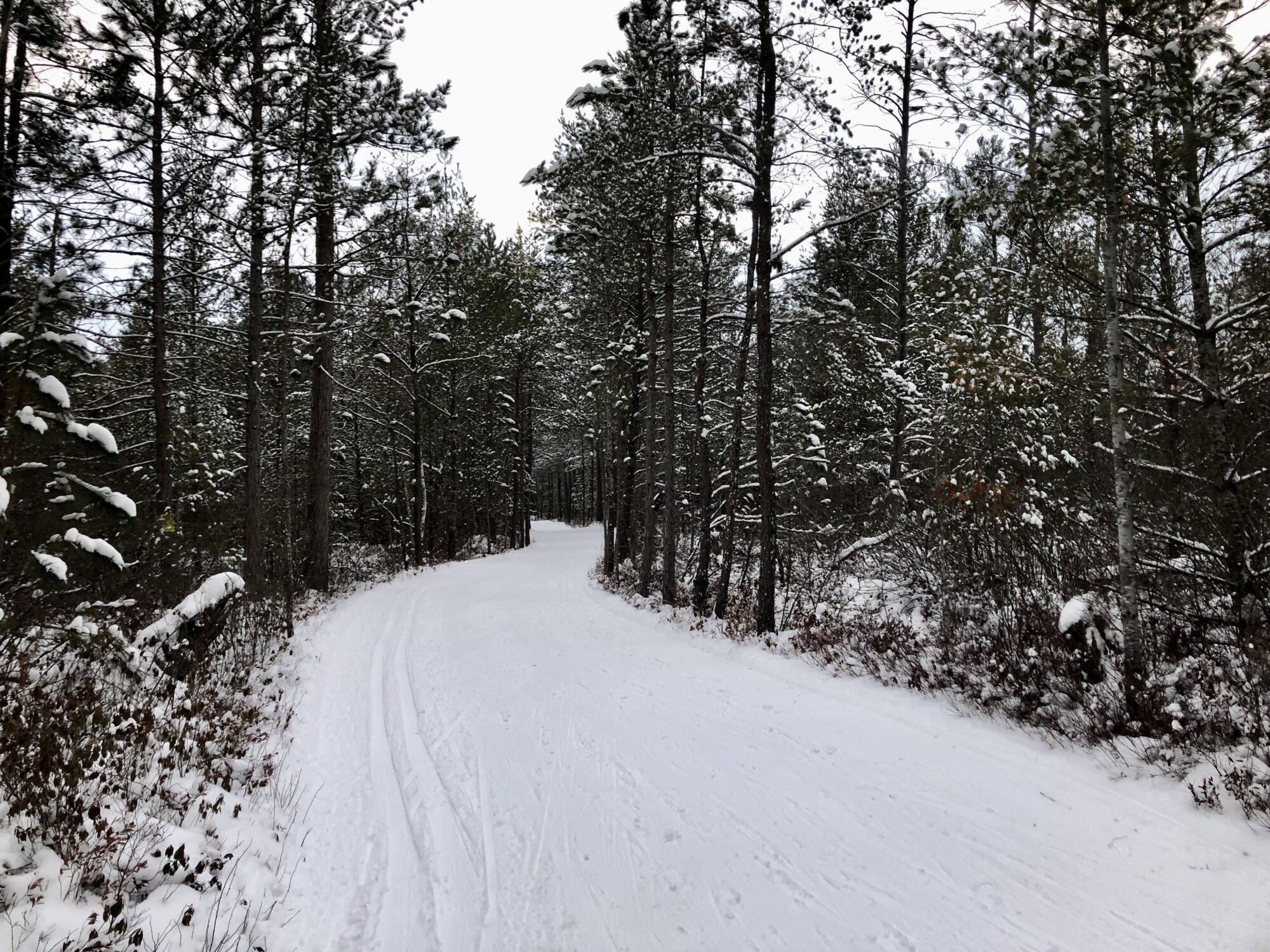 Midwinter Conditions Mid-Winter Conditions XC Ski HQ