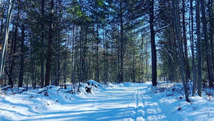 Great Classic Tracks Cross Country Ski Headquarters