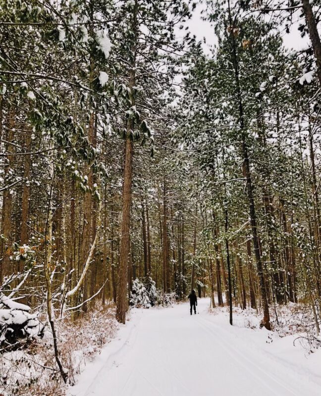 Tall Pines great tracks