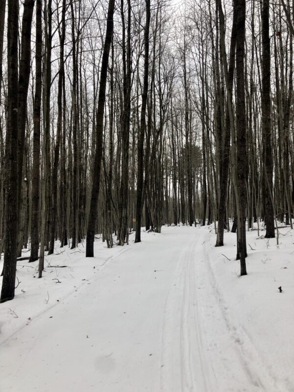 Spring Ski Conditions at XC Ski HQ