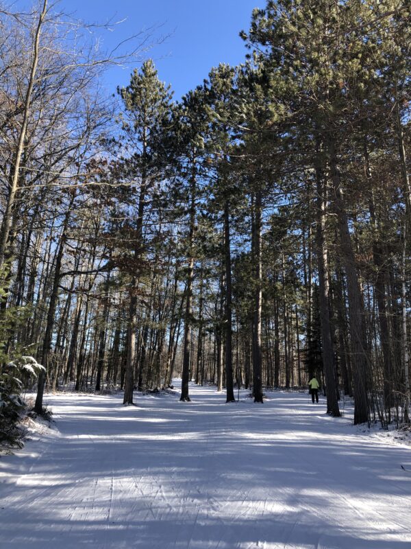 Great conditions XC Ski HQ Higgins Lake