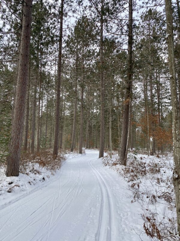 Tall Pines Trail XC Ski HQ Excellent Conditions