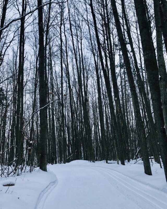 XC SKI HQ Midwinter great conditions