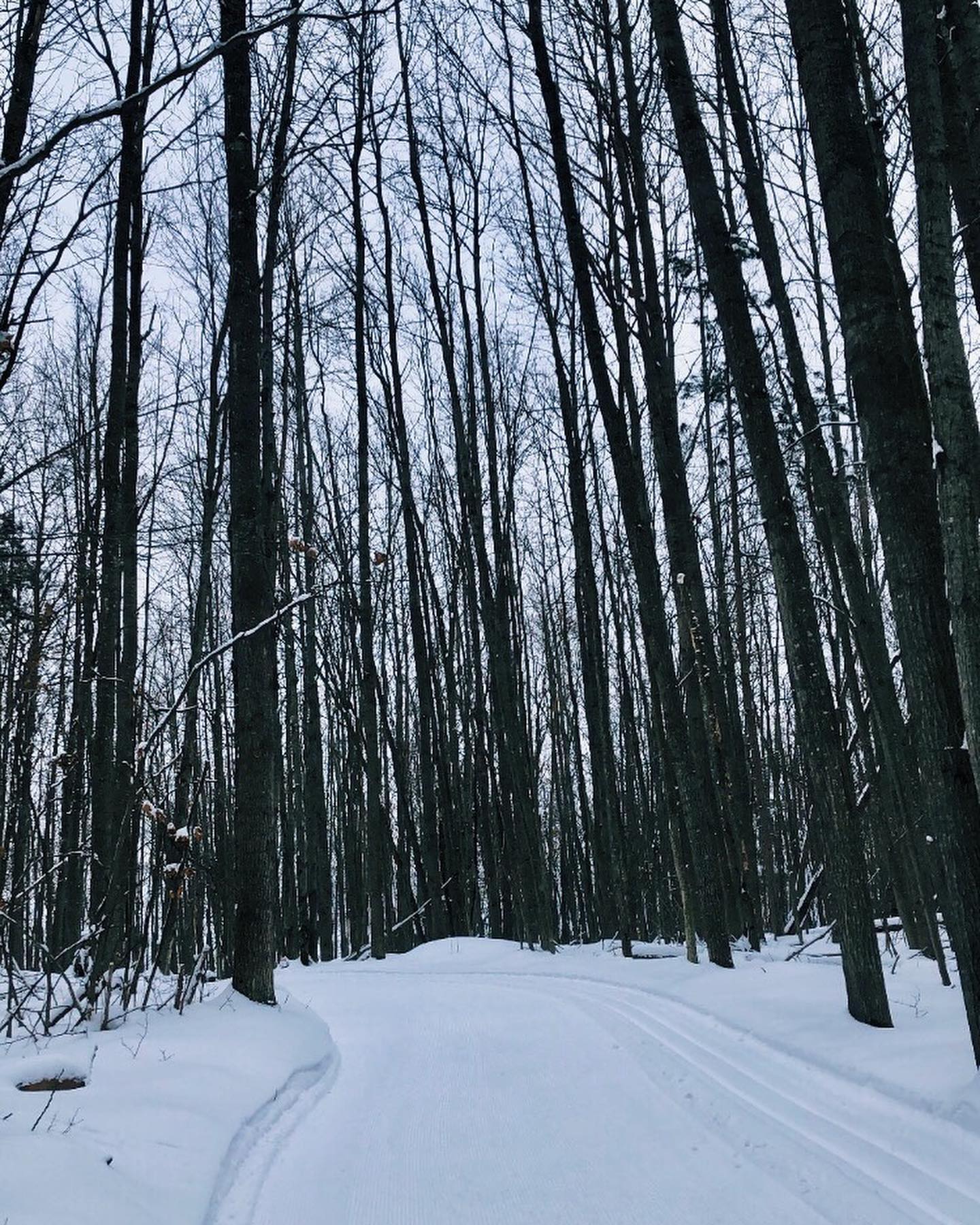 XC SKI HQ Midwinter great conditions