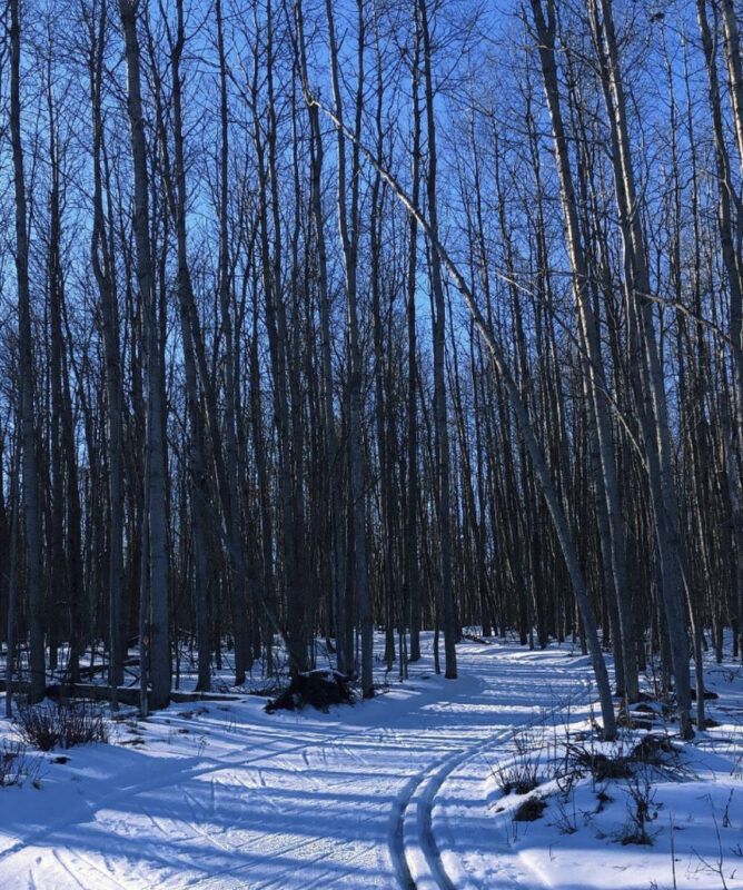 Spring skiing conditions.