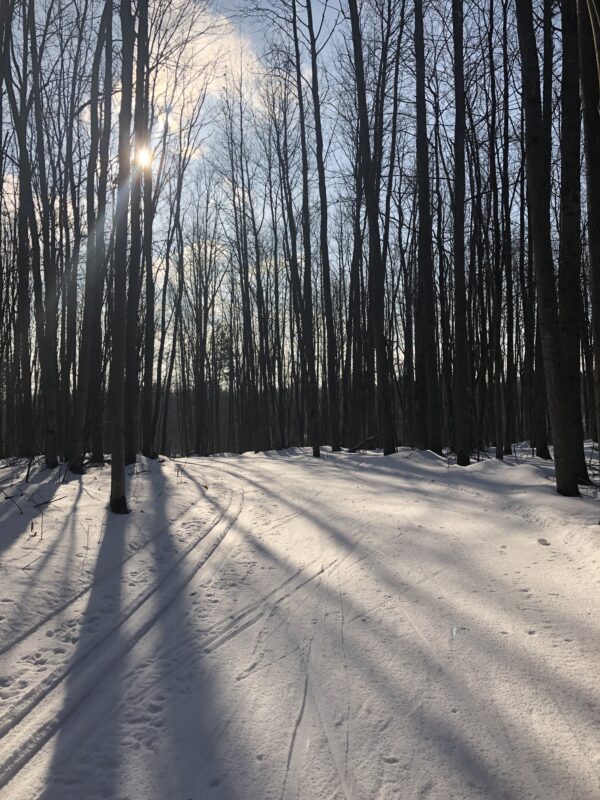Sunny Skies great conditions Cross Country Ski Headquarters