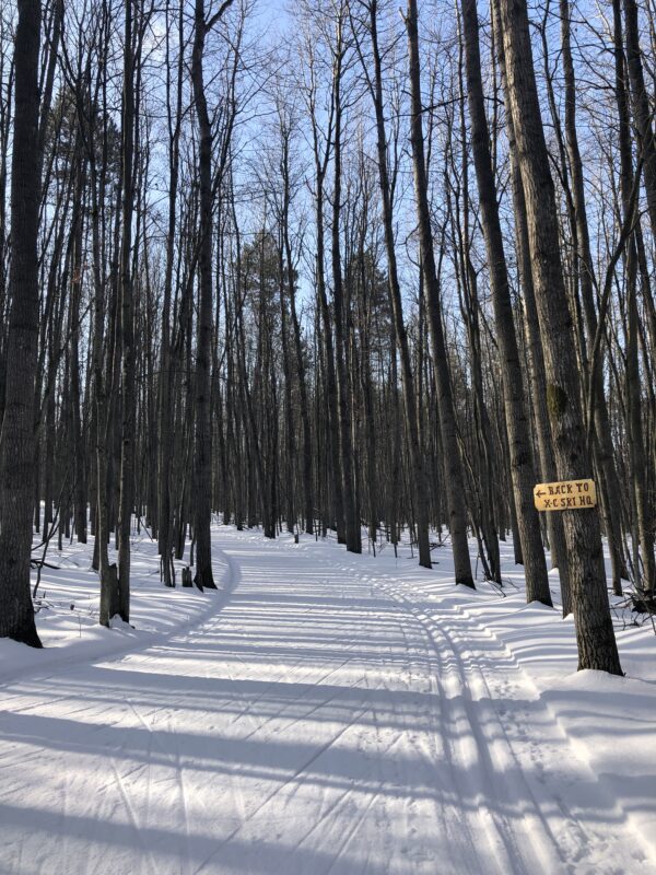 Spring Skiing Cross Country Ski Headquarters Higgins Lake