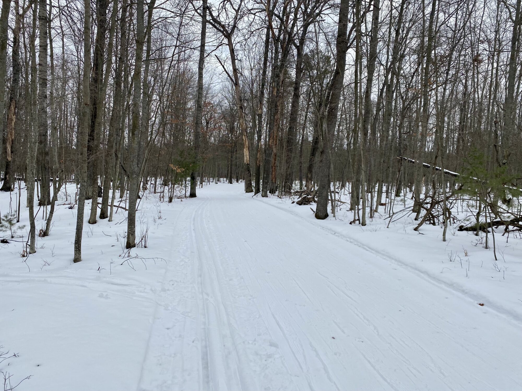 Great spring skiing conditions Cross Country Ski Headquarters