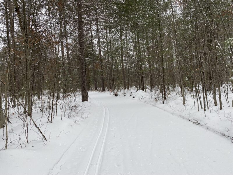 Cross Country Ski Headquarters Wild Turkey Trail