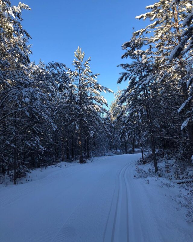 perfect conditions cross country ski headquarters