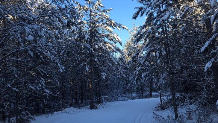 perfect conditions cross country ski headquarters
