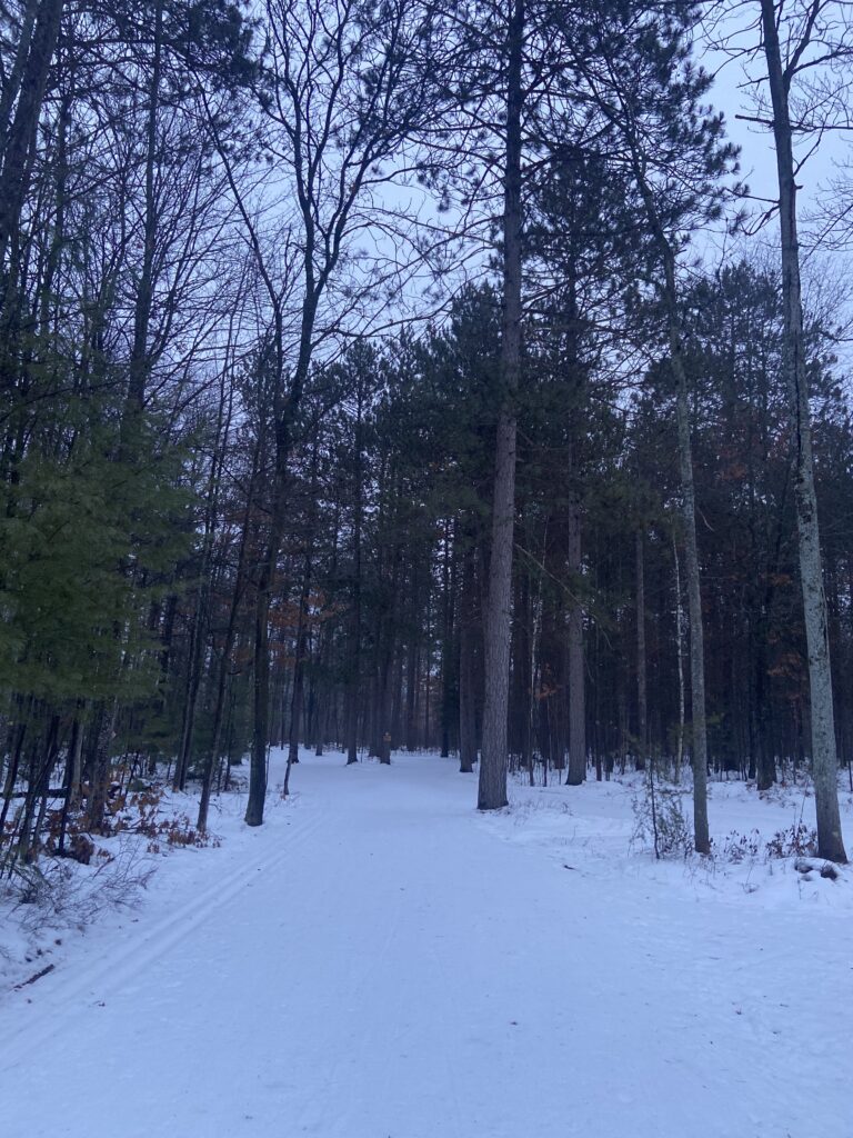 Trail Conditions Jan 27th 2024 Cross Country Ski Headquarters
