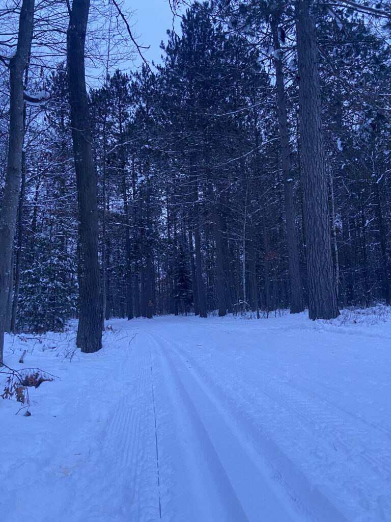 Fresh Tracks on the XC Ski HQ trails cross country skiing groomed trails higgins lake 2024