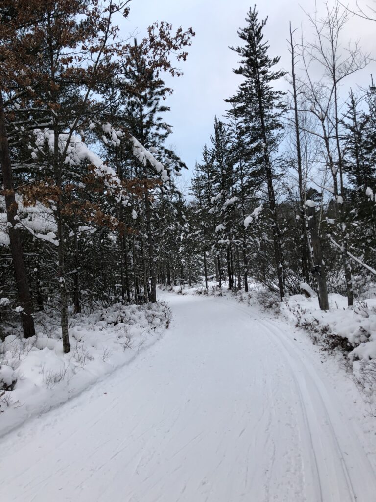 Great XC Ski Conditions Cross Country Ski Headquarters