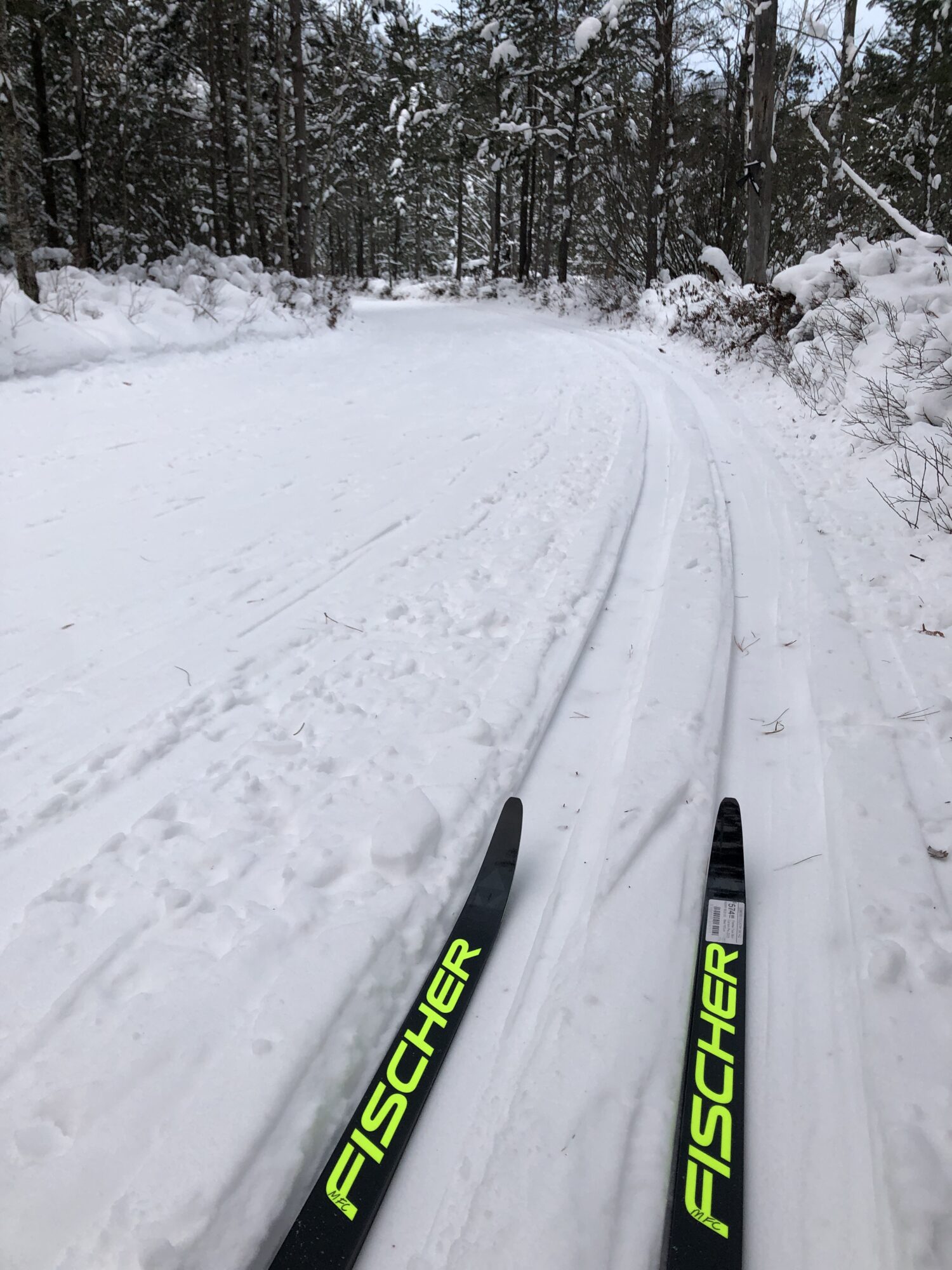 Cross Country Ski Report Wednesday, January 17th Cross Country Ski