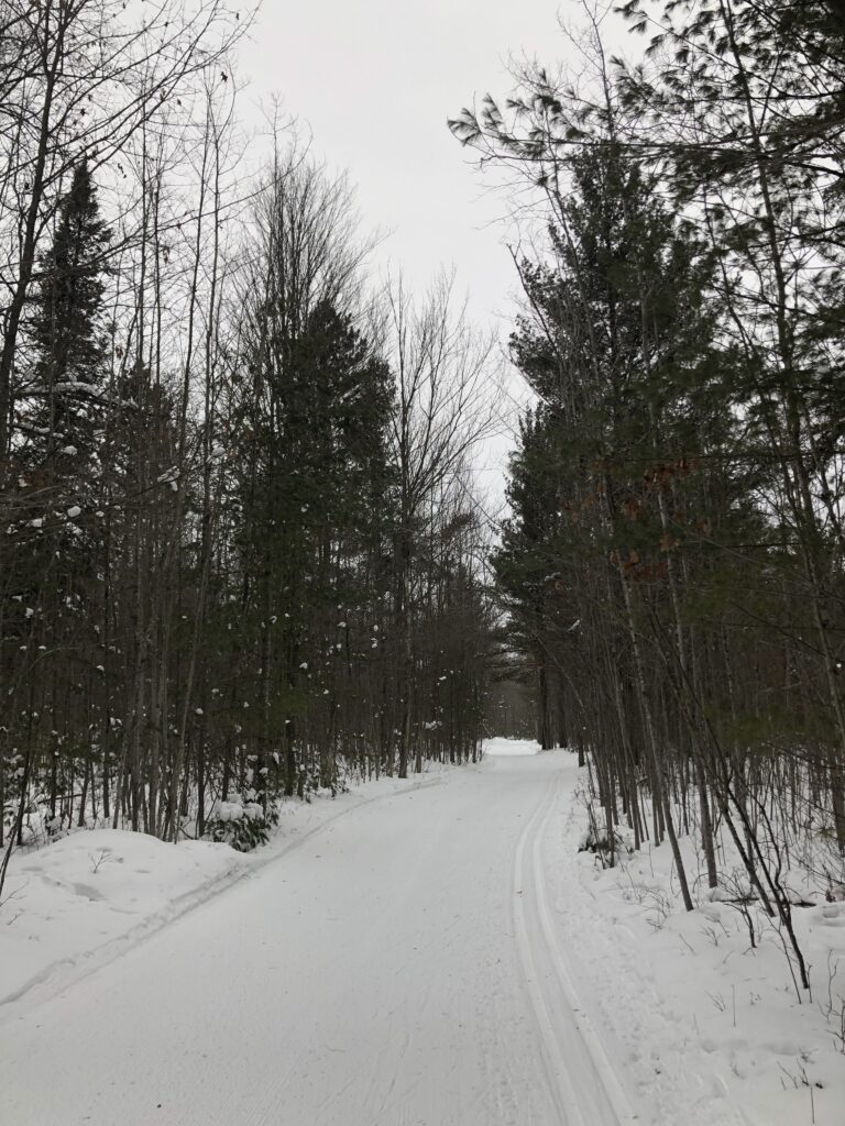 Great XC Ski Groomed Trail Conditions XC Ski HQ Higgins Lake